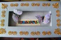 Caja